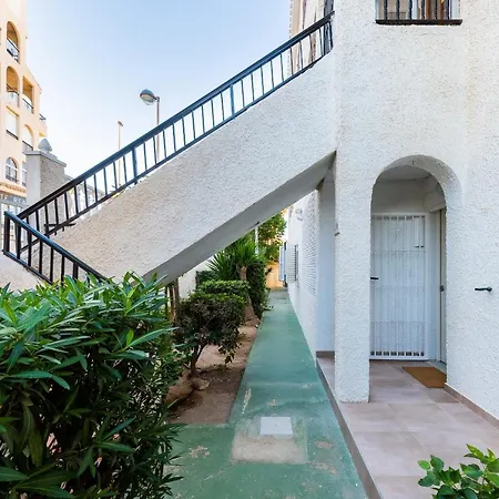 Lomas Playa La Mata トレビエハ